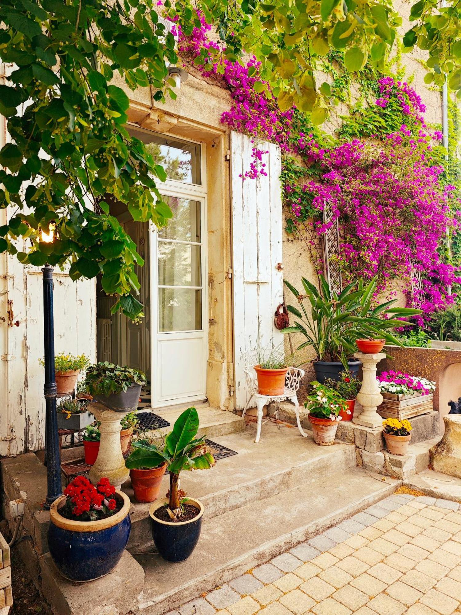 Maison Matisse Saint-Nazaire-d'Aude Buitenkant foto